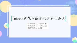 iphone优化电池充电需要打开吗