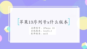 苹果13序列号x什么版本