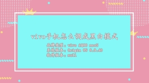 vivo手机怎么调成黑白模式