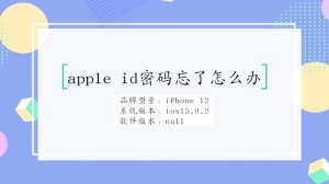 apple id密码忘了怎么办