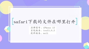 safari下载的文件在哪里打开