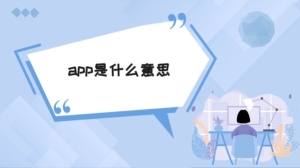 app是什么意思