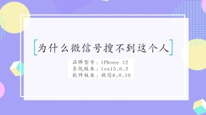 为什么微信号搜不到这个人