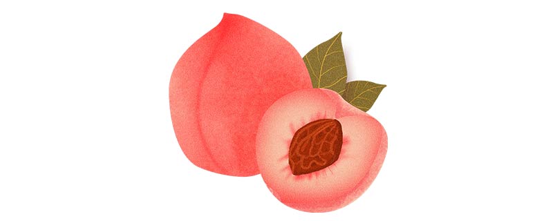 桃子的网络用语是什么意思