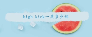 high kick一共多少部