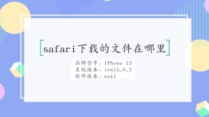 safari下载的文件在哪里