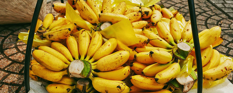 粉蕉是芭蕉还是香蕉