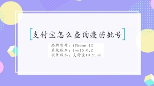 支付宝怎么查询疫苗批号