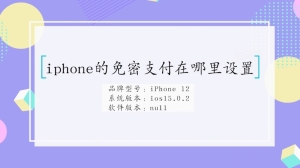 iphone的免密支付在哪里设置