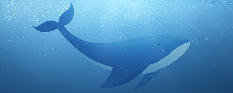 鲸鱼有什么象征意义