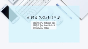 如何更改嘿siri叫法