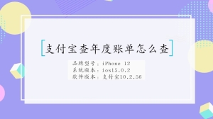 支付宝查年度账单怎么查