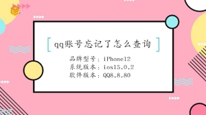 qq账号忘记了怎么查询