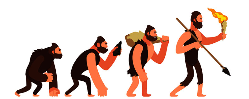 森林古猿生活方式图片