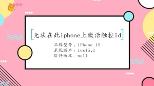 无法在此iphone上激活触控id