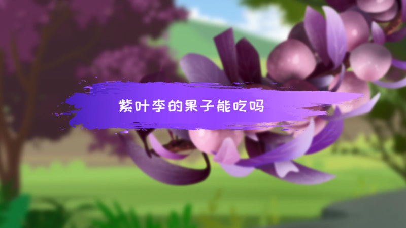 紫叶李的果子能吃吗