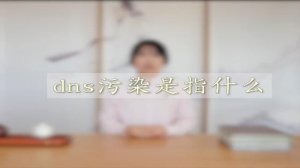 dns污染是什么