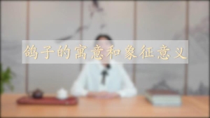 鸽子有什么寓意和象征意义