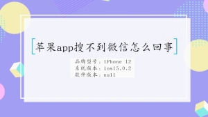 苹果app搜不到微信怎么回事