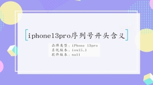 iphone13pro序列号开头含义