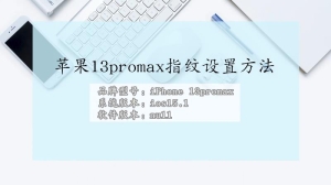 苹果13promax怎么设置指纹