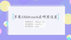 在哪里设置苹果133dtouch