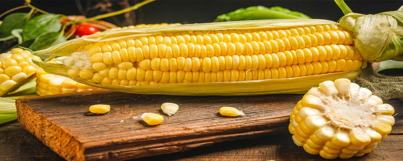 玉米什么季节成熟