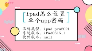 ipad要怎么设置单个app密码