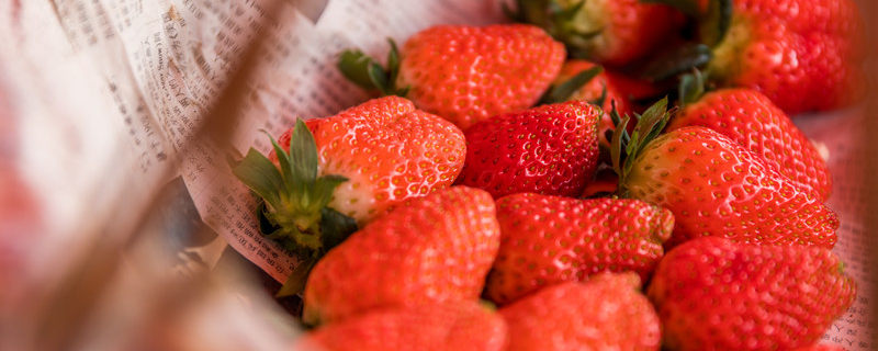 奶莓和草莓的区别有哪些
