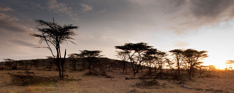 东非大裂谷的地理位置和特点分别是什么