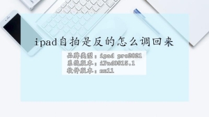 ipad自拍是反的如何调回来