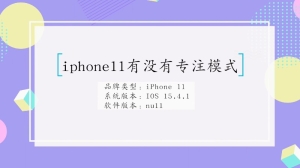 iphone11专注模式有没有