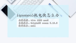 iqooneo5耗电快怎么回事