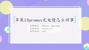 苹果13promax充电慢为什么