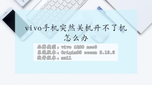 vivo突然关机开不了机怎么办