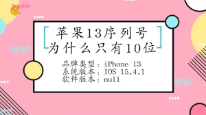 苹果13的序列号为什么只有10位