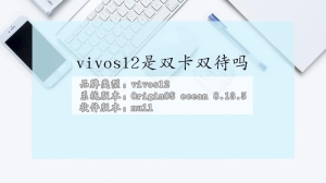 vivos12手机是双卡双待吗