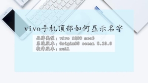 vivo手机顶部怎么显示名字