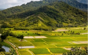 风水宝地指什么意思