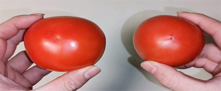 西红柿增甜的方法有哪些