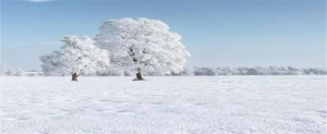 雪是怎么形成的