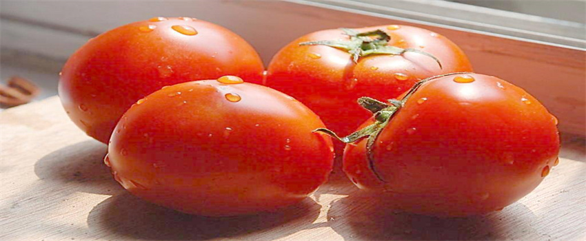 吃西红柿能减肥是真的吗？