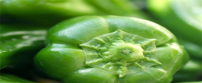 吃青椒能减肥是真的吗