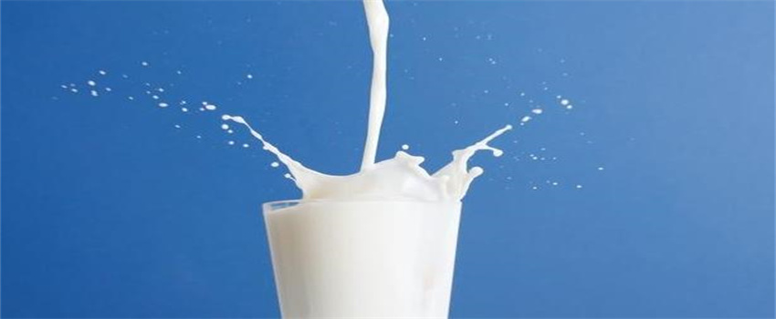 孩子不爱喝牛奶能用羊奶代替吗