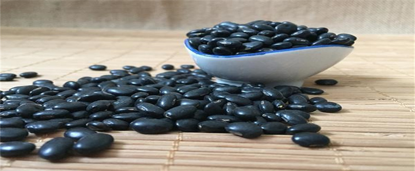 吃黑豆好处多，补肾能吃吗？