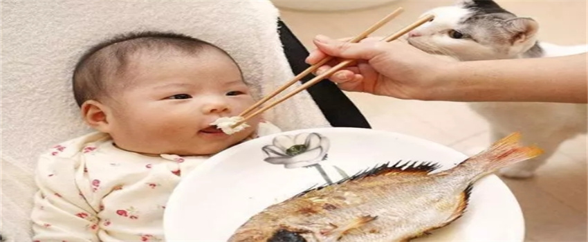 给宝宝吃鱼的时候，父母需要注意什么
