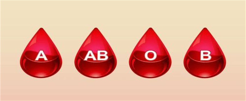 哪一种血型可以输给其他不同血型