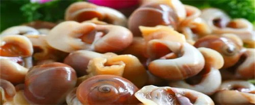 香螺的正确吃法图解以及哪些部位不能吃