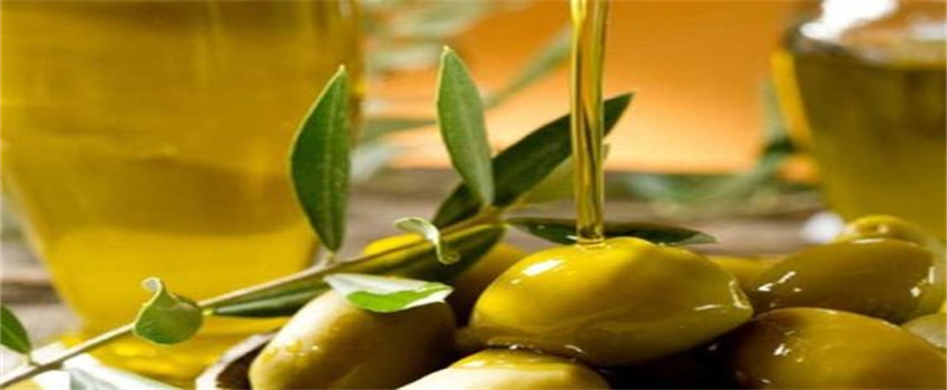 橄榄油的功效有哪些呢