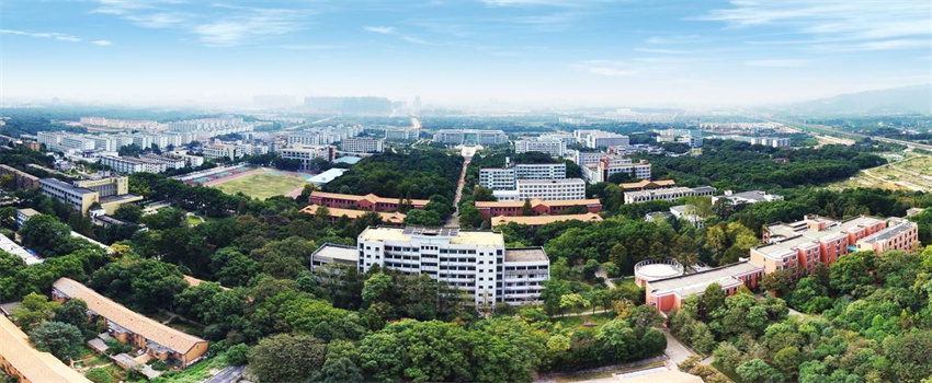 中国面积最大的十所大学